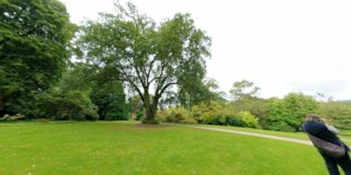 Trelissick Garden